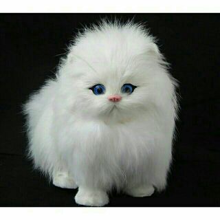 Mèo Bông Mini