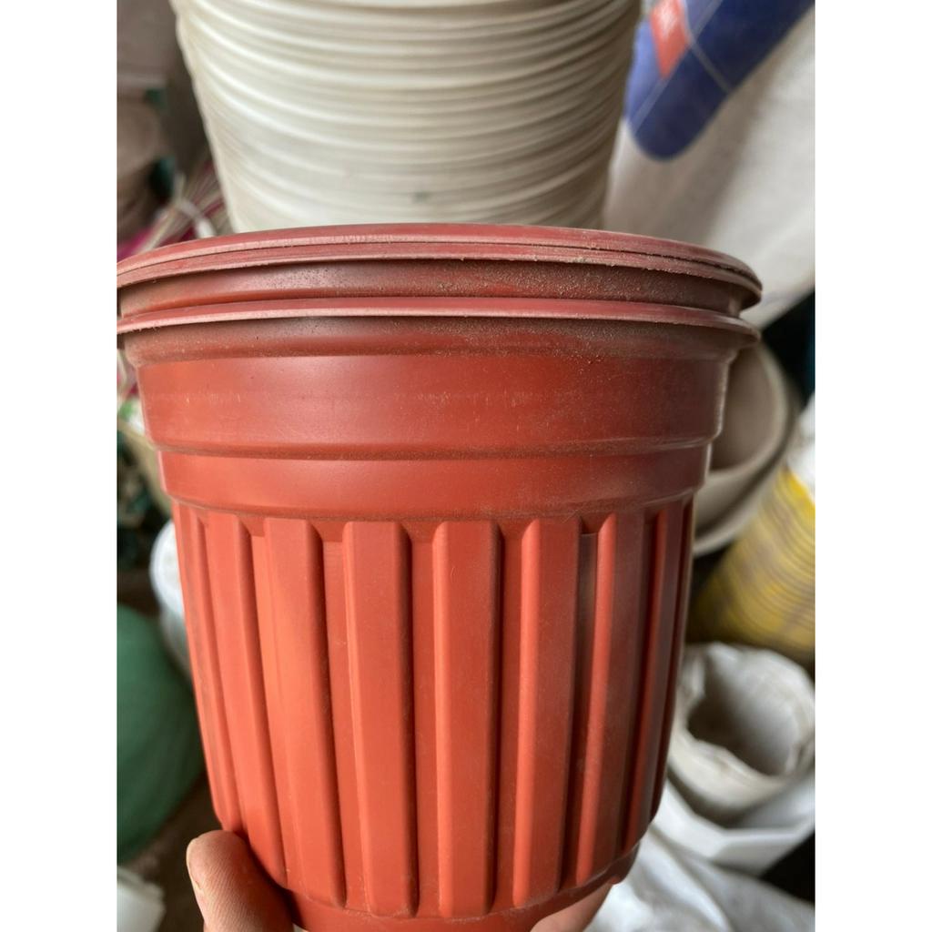 Chậu nhựa mỏng vành cứng trồng cây-Chậu nhựa TTK 150, TTK 180, TTK 200, TTK 230, TTK 260, TTK 280