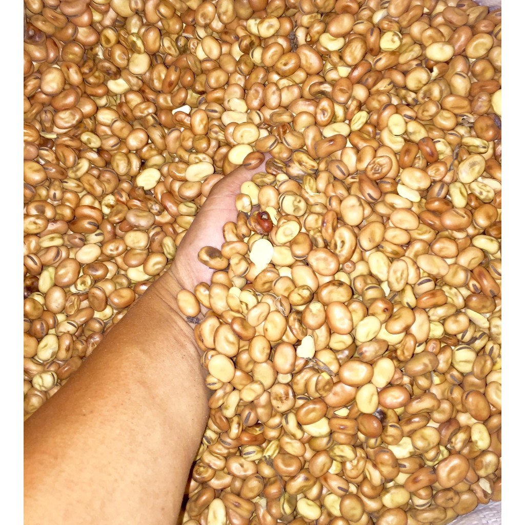 Hạt đậu tằm Úc 1kg