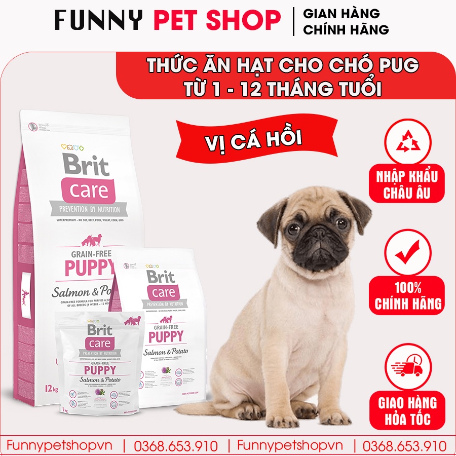 Hạt cho Pug vị cá hồi loại cao cấp sử dụng cho chó từ 1-12 tháng | Nhập khẩu Châu Âu, Top 1 Cộng Hòa Séc