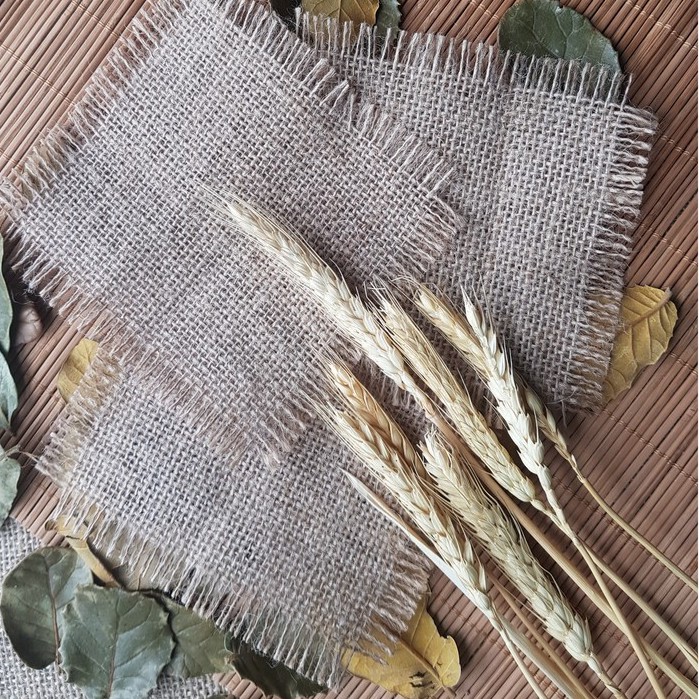 Bông lúa mạch / rơm vàng phụ kiện trang trí chụp ảnh, cành lúa mạch hoa khô cắm bình, lọ decor