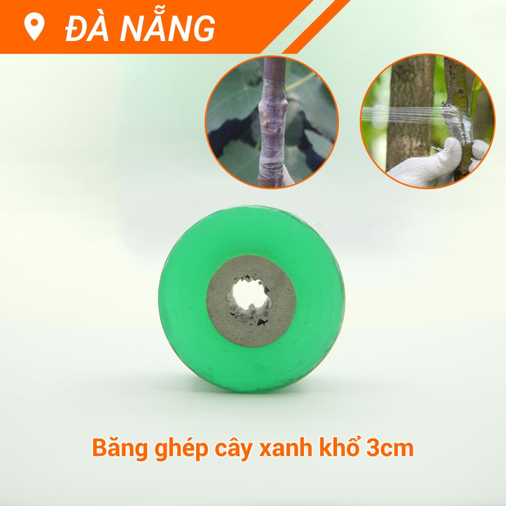 BĂNG GHÉP CÂY XANH KHỔ 3CM