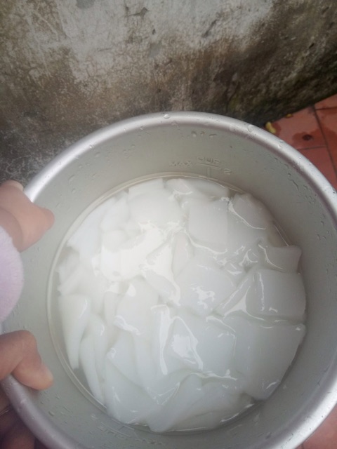 THẠCH DỪA THÔ MAI ANH