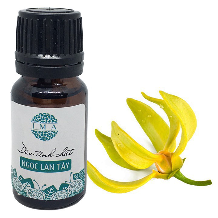 Tinh Dầu Thơm Phòng Thiên Nhiên Nguyên Chất Dung Tích 10ml Có Giấy Chứng Nhận Nhập Khẩu C.O.A Và Phân Tích Quatest