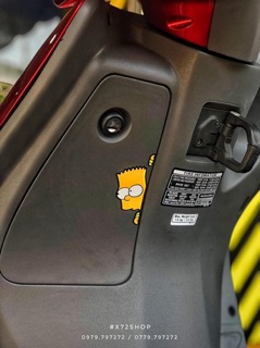 Tem simpson (cặp)