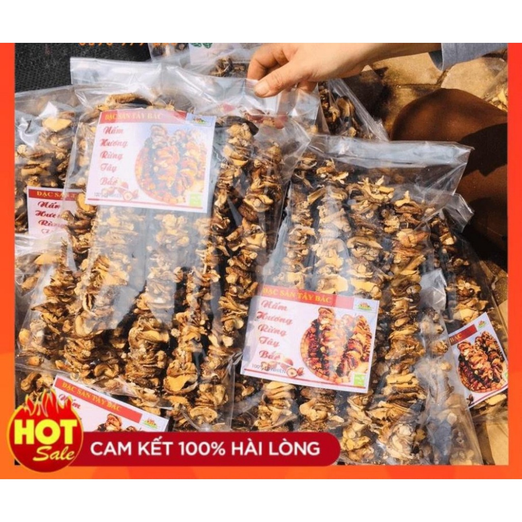 NẤM HƯƠNG RỪNG ĐẶC SẢN TÂY BẮC SẠCH THƠM NGON - HÀNG ĐẶC BIỆT LOẠI 1 (1KG)