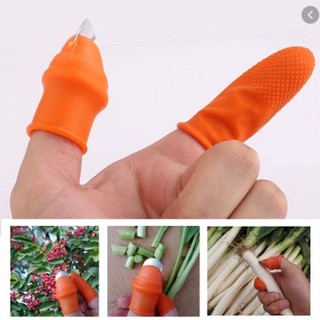 [Hàng mới] Dụng Cụ Bấm Hoa Quả , Nhặt Rau