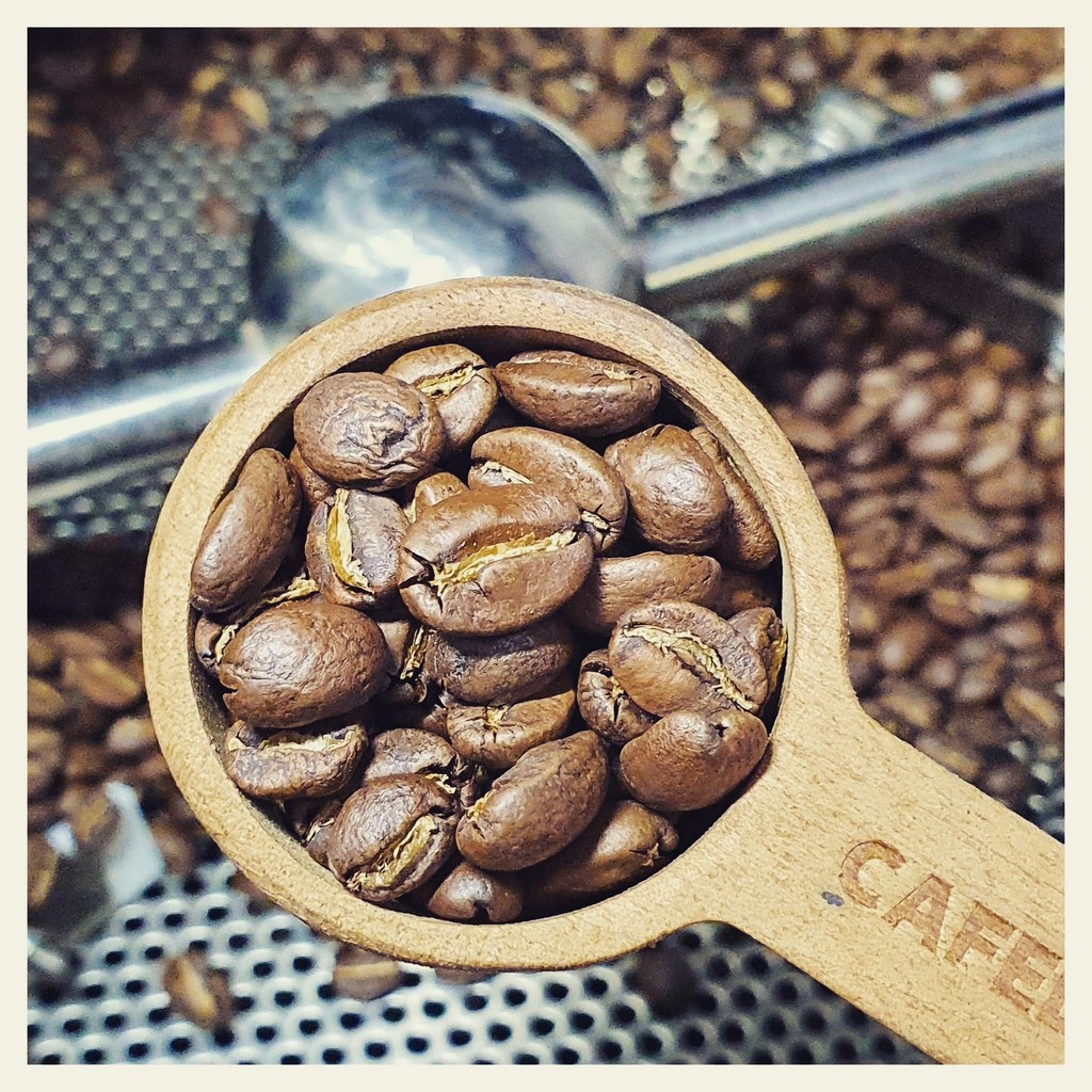 MÃ GIẢM GIÁ 30K Cafe arabica nguyên chất rang mộc túi 250g ARABICA | BigBuy360 - bigbuy360.vn