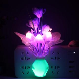 Đèn Led Đổi Màu 513''