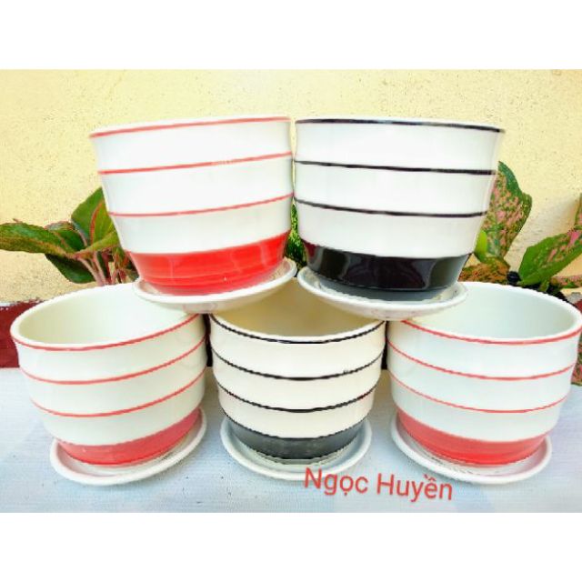 Chậu Trồng Cây Để Bàn -Size ( 11cm, 15cm và 17cm) Có Đĩa Hứng Nước