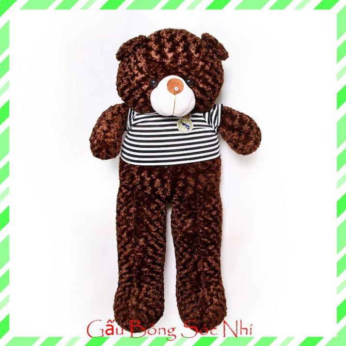 [Mua 1 Tặng 1] Gấu Bông Teddy Size 1m4 Đáng Yêu 💥 FREESHIP 💥 Gấu Bông Sóc Nhí - Tặng 1 Gấu Bông Trà Sữa