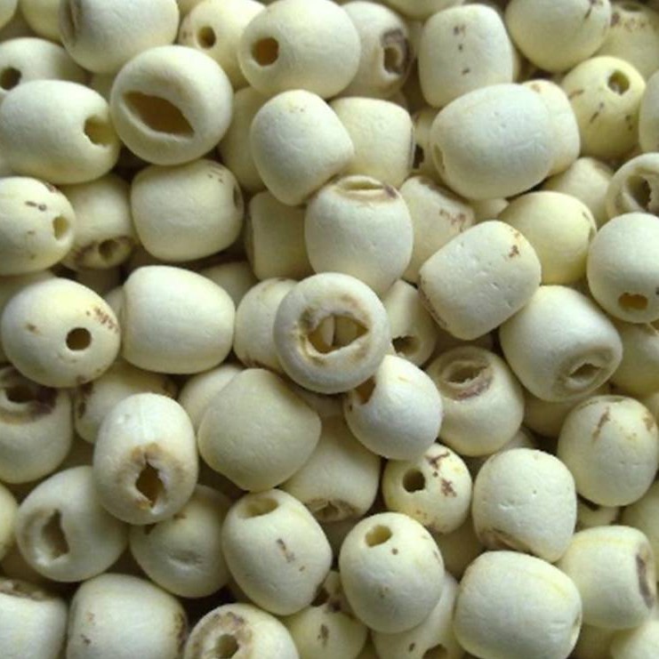 Hạt Sen Khô--1kg _Đồng Tháp
