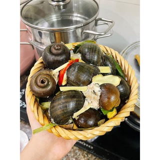 Ốc nhồi thịt đóng khay [ Hỏa tốc hà nội ] [ Hana Food ]