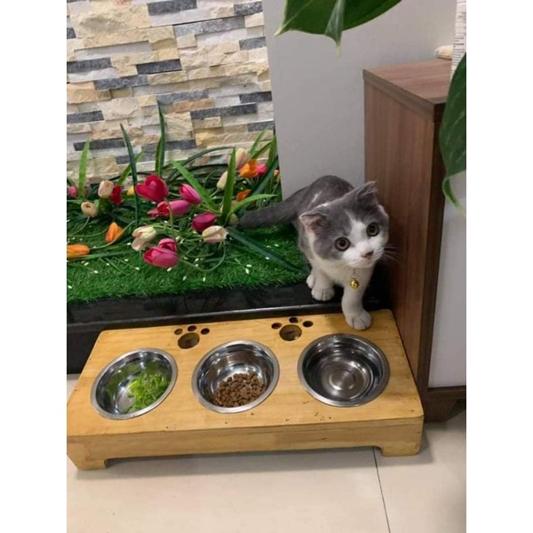 Khay ăn bằng gỗ cho mèo kèm bát