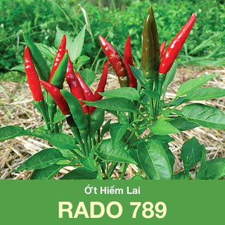 Hạt giống Ớt Hiểm Lai RADO 789 (0.1gr)