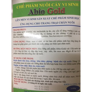 men nuôi cấy ủ tỏi