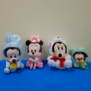 Set gấu
