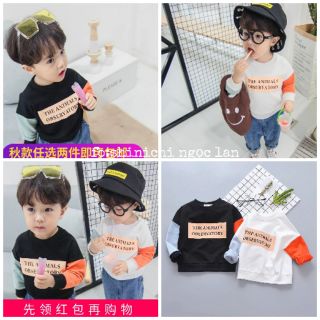 Áo phông cho bé kiểu hàn quốc