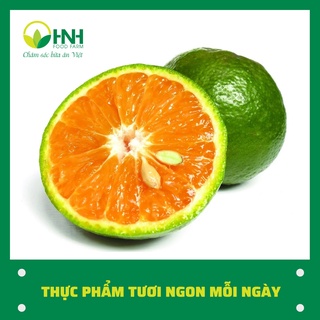 Cam sành loại 1 sạch chuẩn ngon, trợ giá mùa dịch - HNH Food Farm