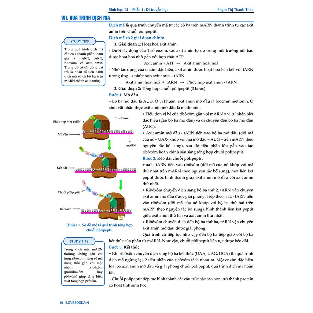 Sách - Công Phá Lí Thuyết Sinh 10-11-12 | BigBuy360 - bigbuy360.vn