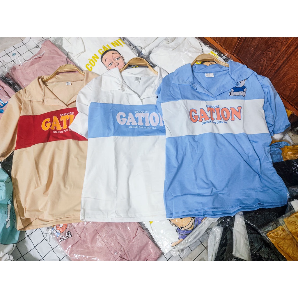 Áo polo gấu, áo form rộng chất cotton mềm mịn