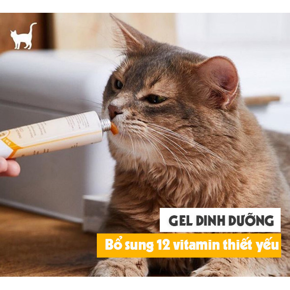 Gel Dinh Dưỡng GimCat Cho Mèo Tổng Hợp - CHỌN LOẠI