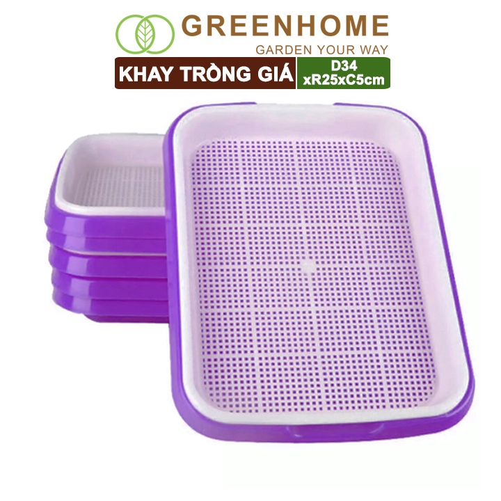 3 Bộ khay trồng giá, D34xR25xC5cm, màu tím, nhựa nguyên sinh, an toàn, dễ trồng tại nhà |Greenhome