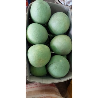 Bưởi da xanh ruột đỏ