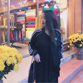 Áo adidas auth