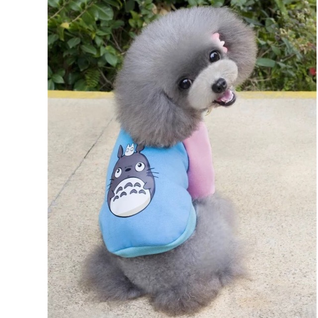 ÁO VẢI NỈ CHO CHÓ MÈO CAO CẤP HÌNH TOTORO