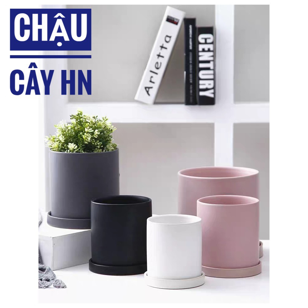 Chậu trụ trơn cao 8cm trồng sen đá,xương rồng, cây để bàn cực xinh