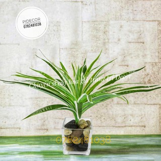 Bụi Cỏ Nhựa Lan Chi Trang Trí tường cỏ Có Ảnh Thật -PiDecor