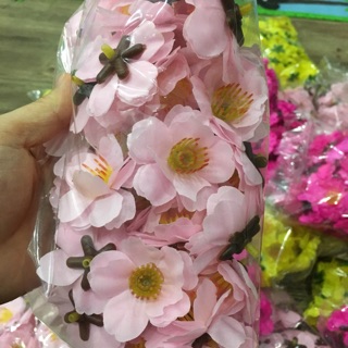 Hoa đào mai túi 50 bông