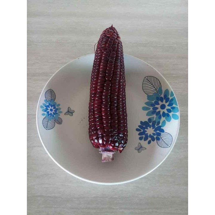 Phân bón Siêu Kali TD-SUPER KALI hộp 100gr, giúp ra hoa đồng loạt, bông to