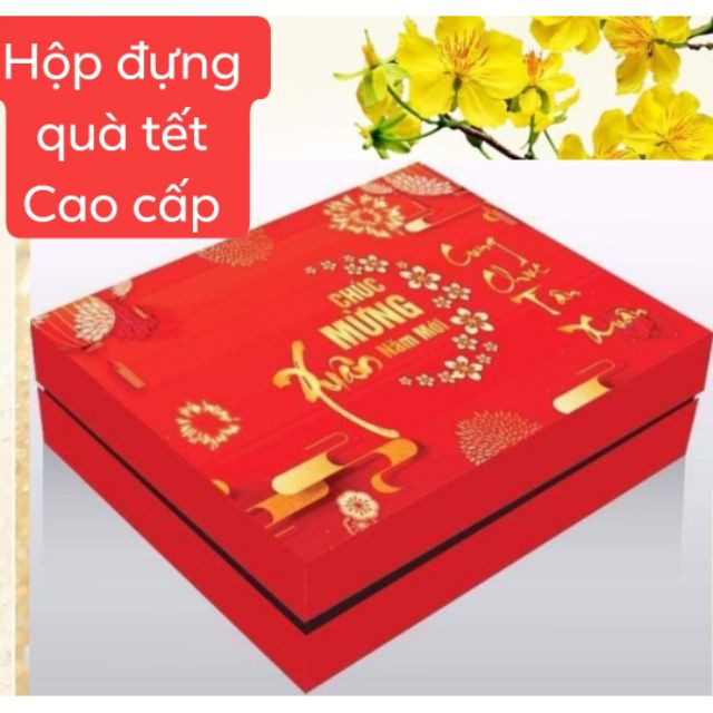 Combo Hộp đựng quà tết + Túi giấy cao cấp