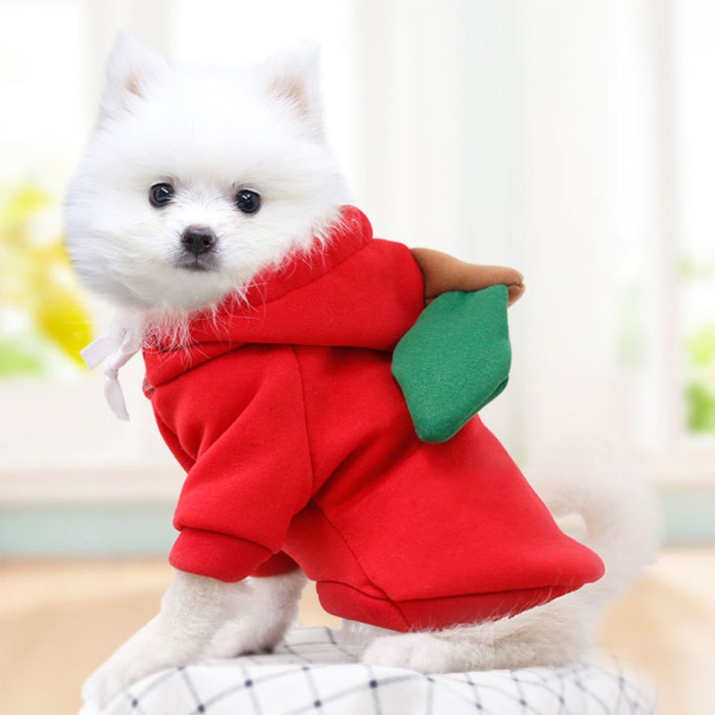 Áo Hoodie Họa Tiết Trái Cây Dễ Thương Cho Thú Cưng