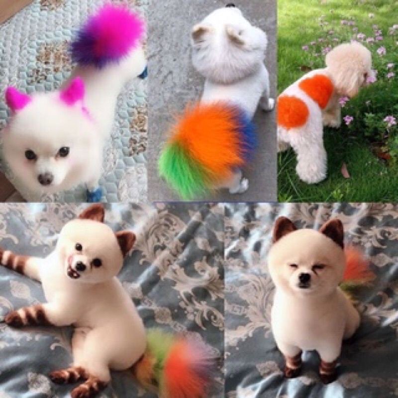 🐩🐑THUỐC NHUỘM LÔNG THÚ CƯNG NHIỀU MÀU SẮC