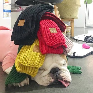 khăn len quàng cổ cho chó mèo