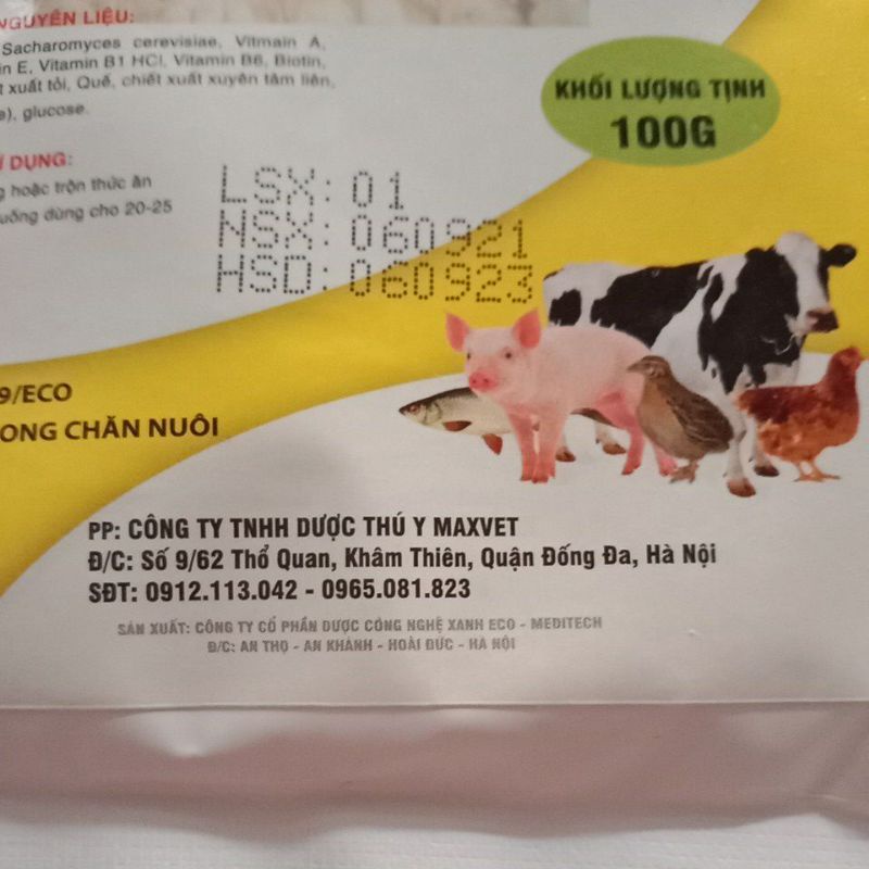 Úm gà vịt ngan, chim. gà đá, ngỗng, nano úm. thú cưng