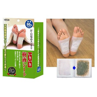 Miếng Dán Chân Khử Độc Tố Kenko Nhật Bản