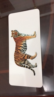 bộ thẻ flashcard dạy tiếng anh cho bé