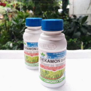 Tăng Trưởng Hoa Lan DEKAMON