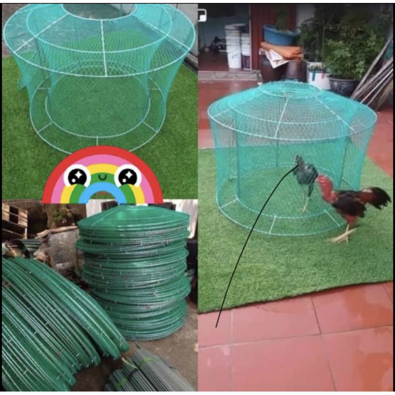 Lồng chạy cho gà loại nhất