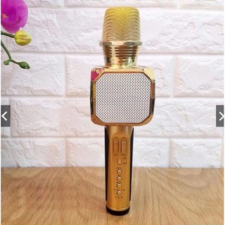 Micro Karaoke Kiêm Loa Bluetooth Sd10 Chính Hãng