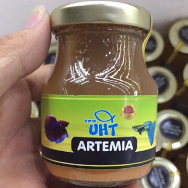 Artemia thanh trùng UHT - Giao Hàng Hoả Tốc TPHCM