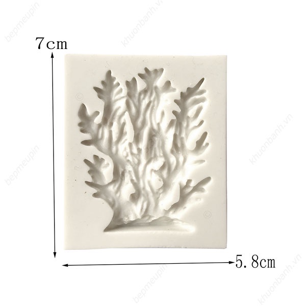 Khuôn silicon tảo biển rong biển rêu trang trí bánh