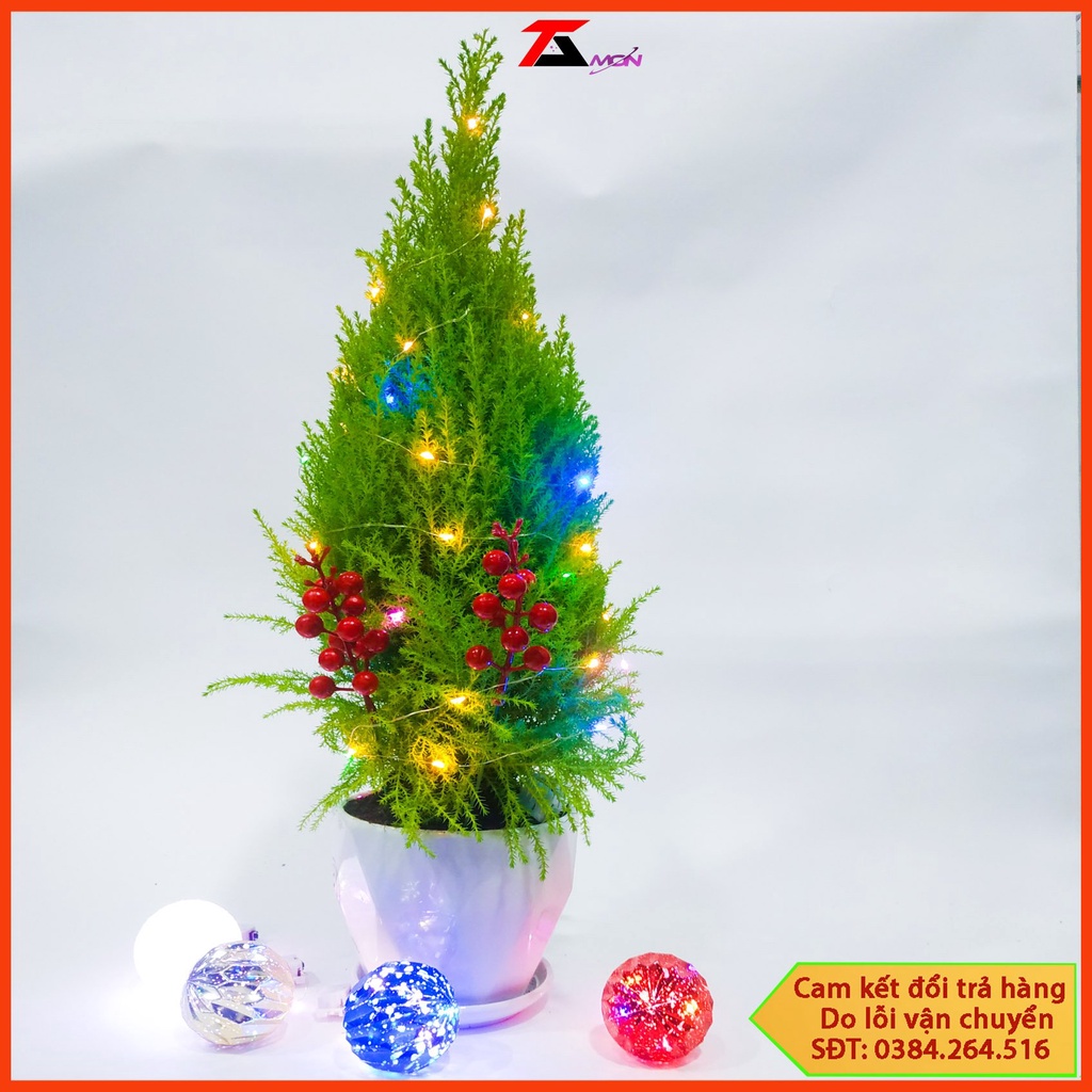 2m/4m Đèn LED Dây Đồng/ Đèn LED Đom Đóm/ Mery Christmas/ Năm Mới 2022