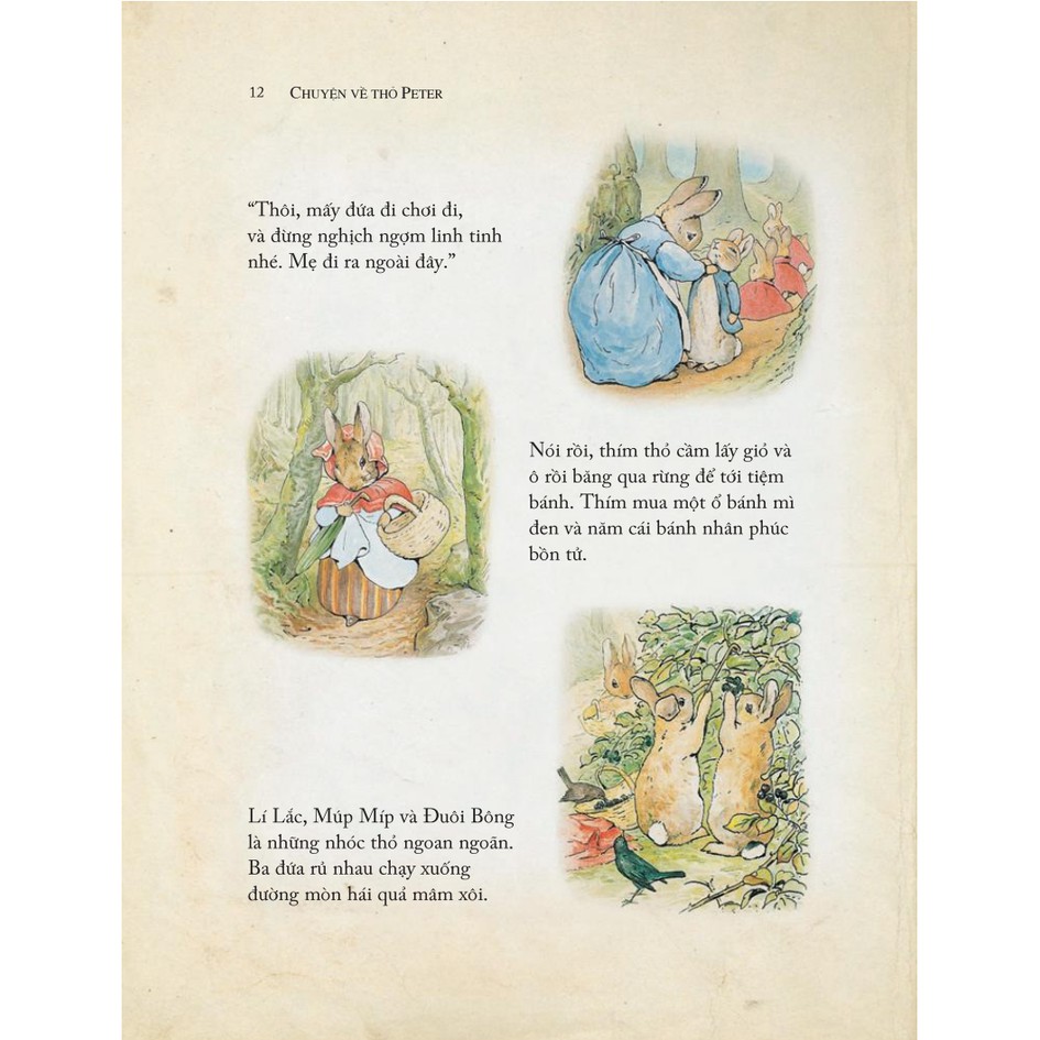 Sách - Thỏ Peter - Chuyện bây giờ mới kể - bộ 4 cuốn - có mã lẻ