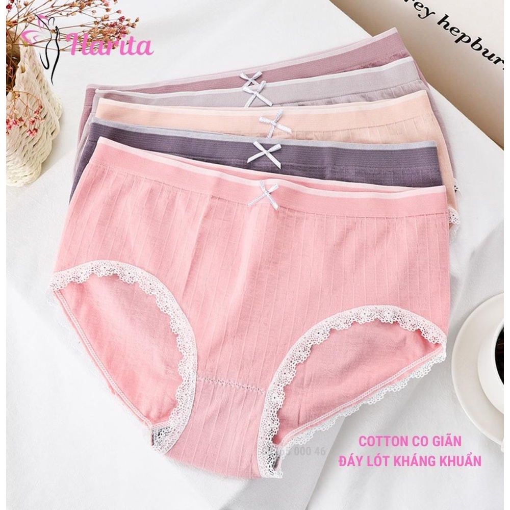 Set 5 chiếc quần lót nữ cotton kháng khuẩn Harita cao cấp xuất Nhật
