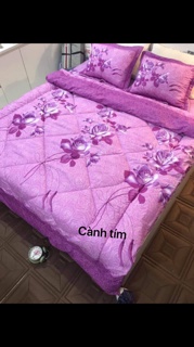 [GIÁ HỦY DIỆT] Bộ Chăn Phao 5 Món Ga Gối [Loại Bông Dày]